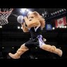 sportsfan