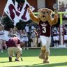 msubulldog